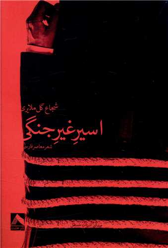 پایانه - اسیر غیر جنگی