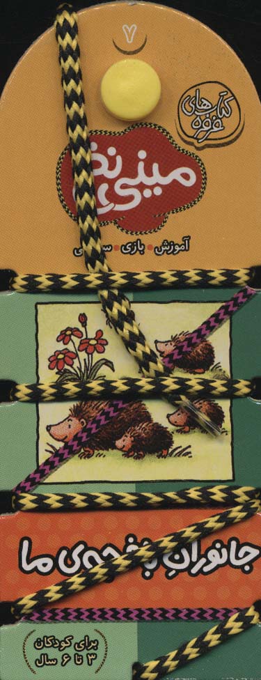 پایانه - مینی نخ 7