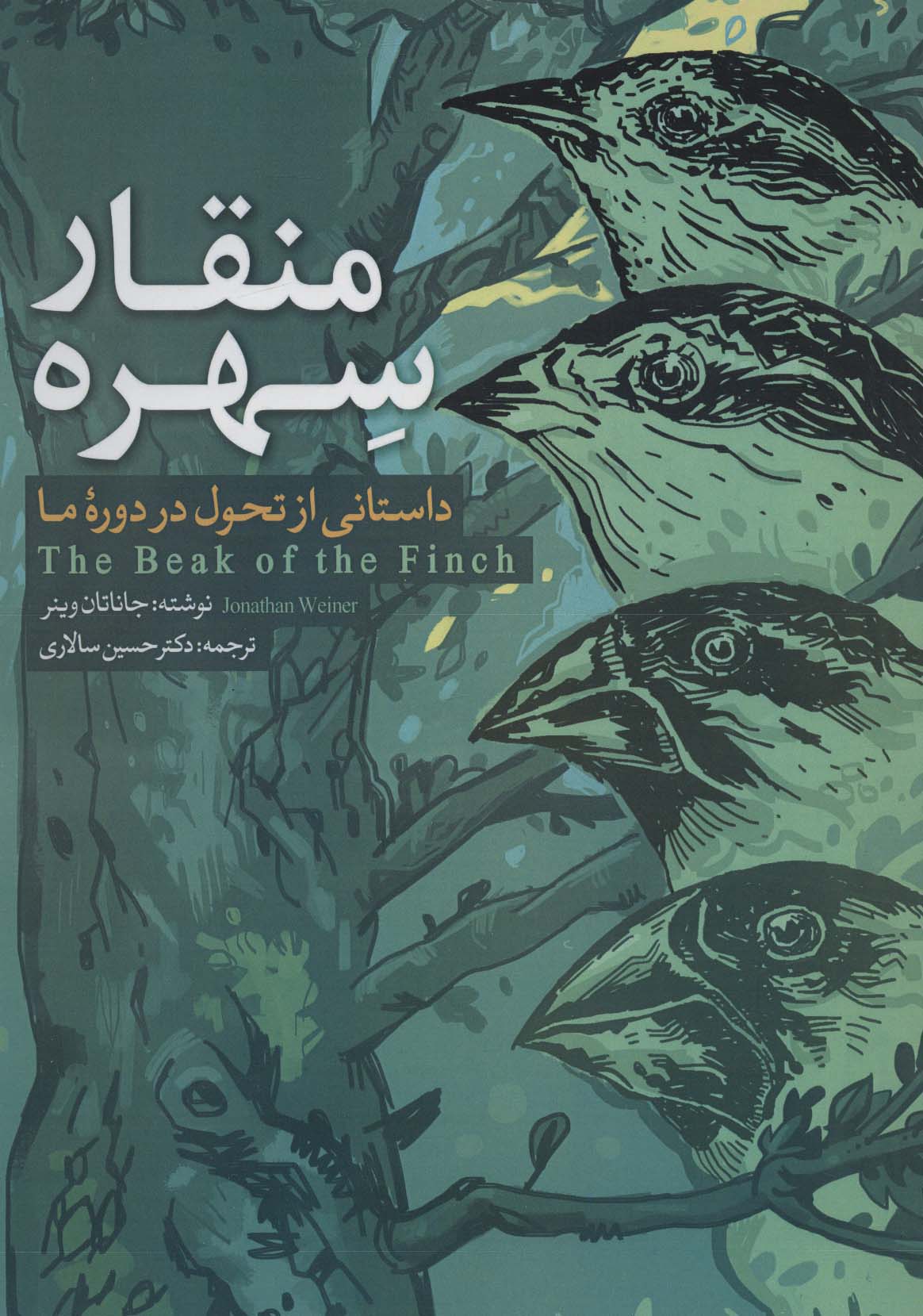 پایانه - منقار سهره