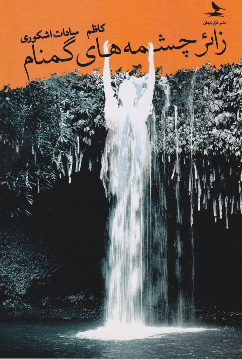 پایانه - زائر چشمه های گمنام