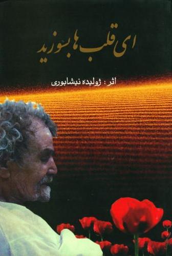 پایانه - ای قلب ها بسوزید