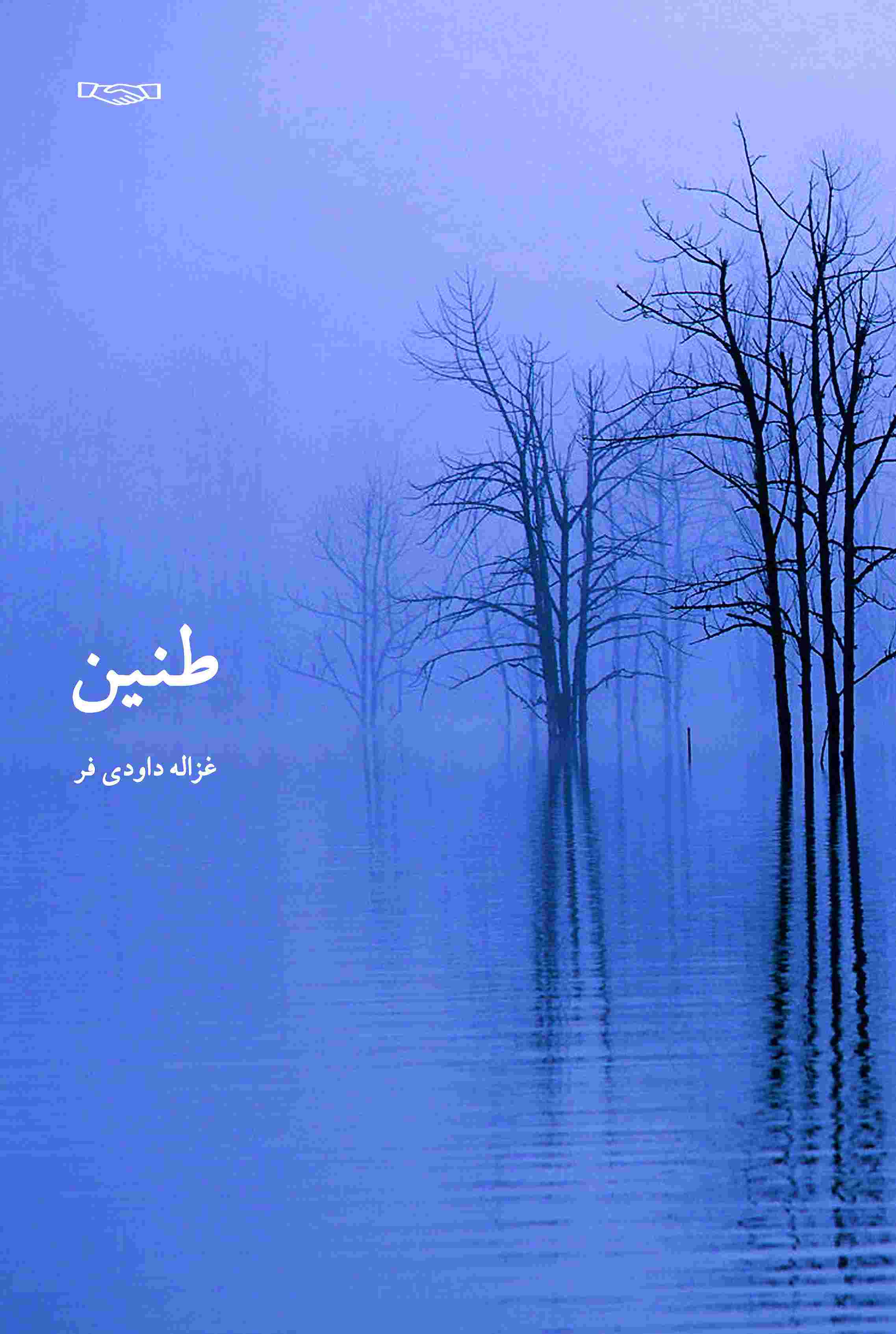 پایانه - طنین