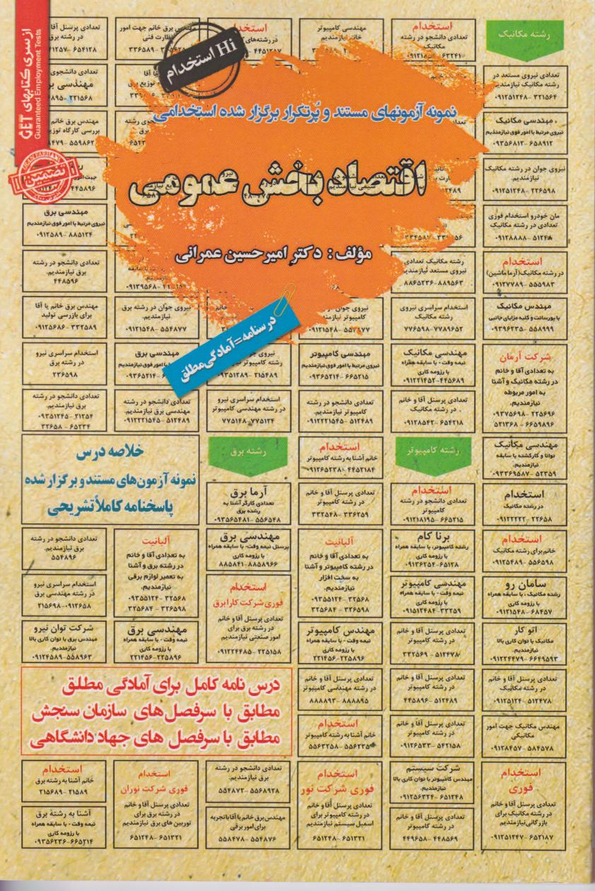 پایانه - اقتصاد بخش عمومی