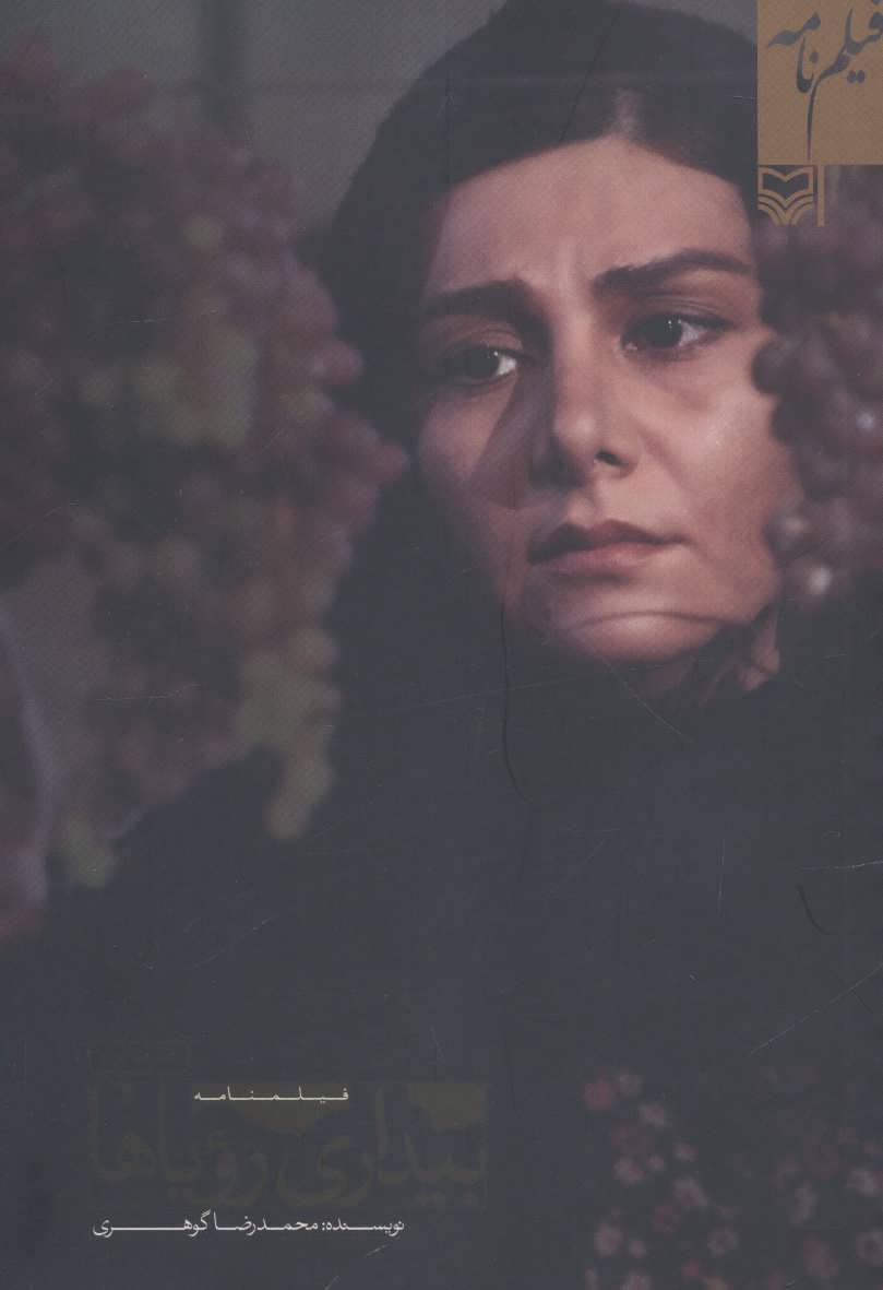 پایانه - بیداری رویاها