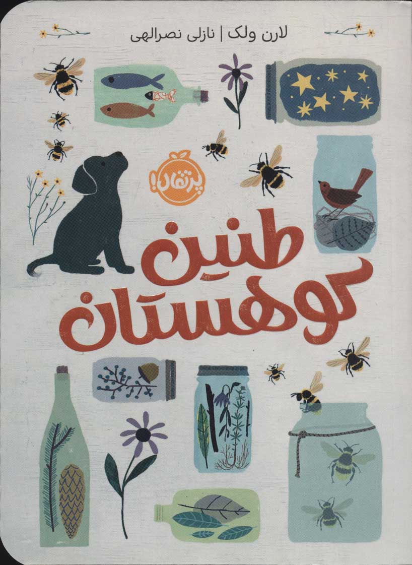 پایانه - طنین کوهستان