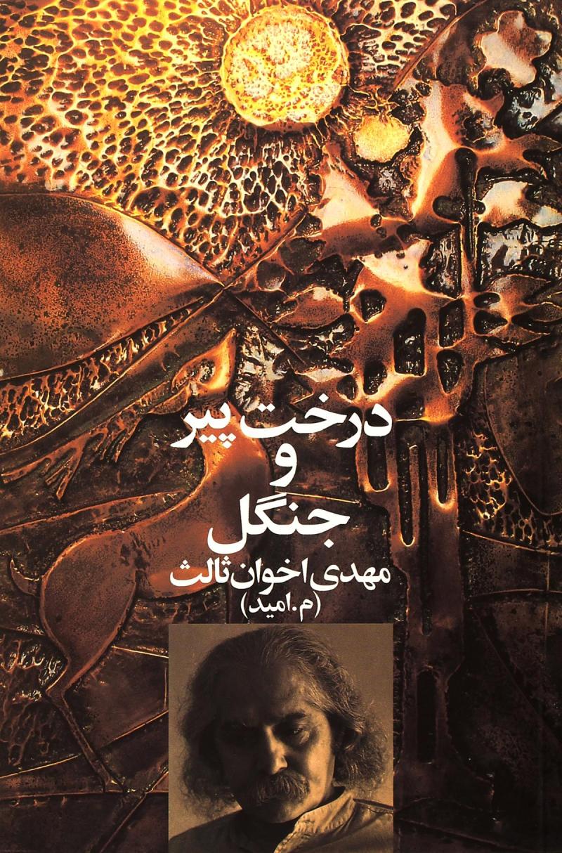 پایانه - درخت پیر و جنگل