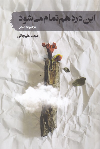 پایانه - این درد هم تمام می شود