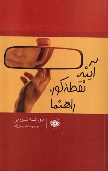 پایانه - آینه،نقطه کور،راهنما