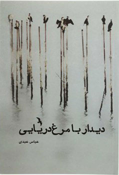 پایانه - دیدار با مرغ دریایی