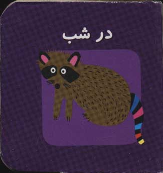 پایانه - در شب