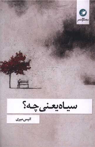 پایانه - سیاه یعنی چه؟