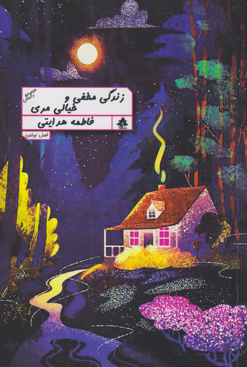 پایانه - زندگی مخفی و خیالی مری