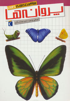 پایانه - پروانه ها