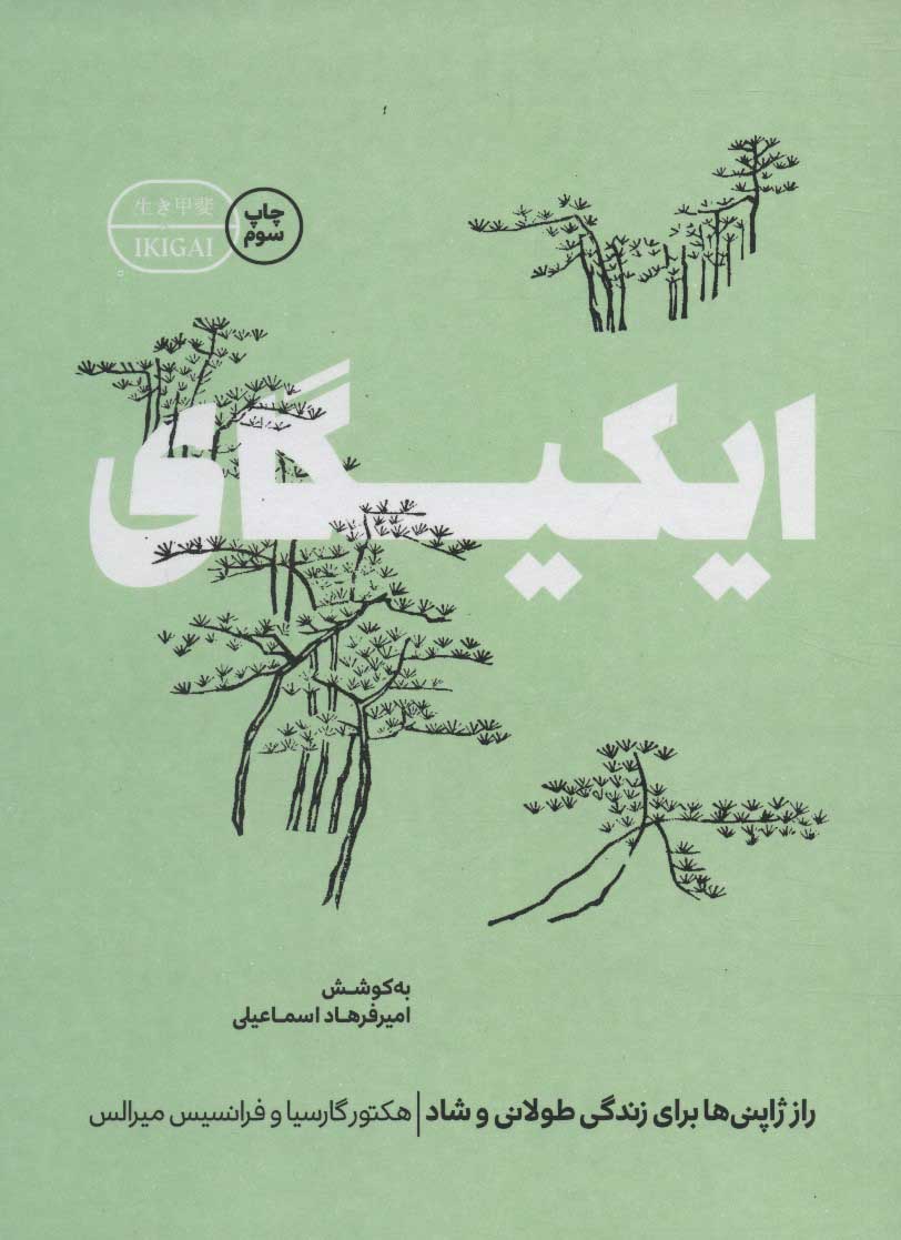 پایانه - ایکیگای