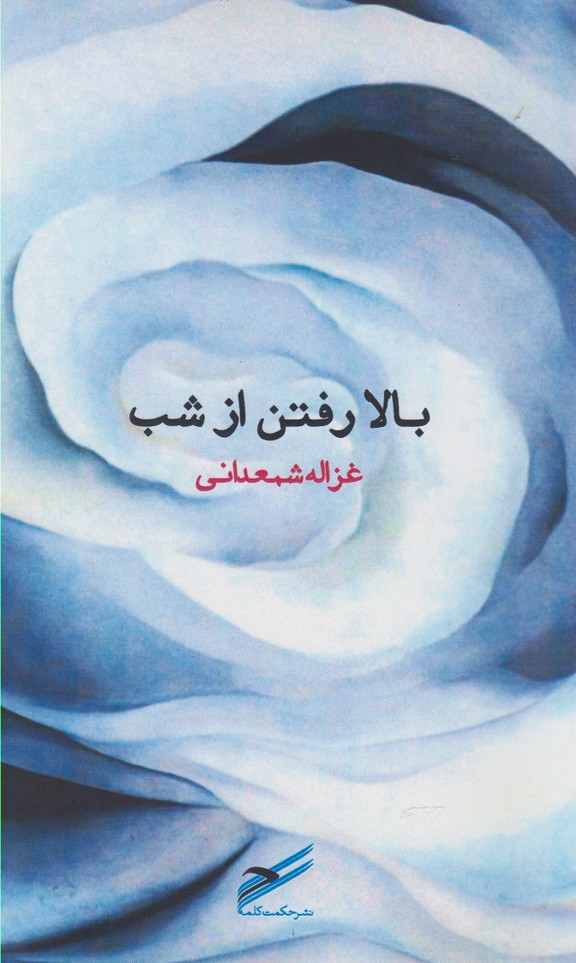 پایانه - بالا رفتن از شب