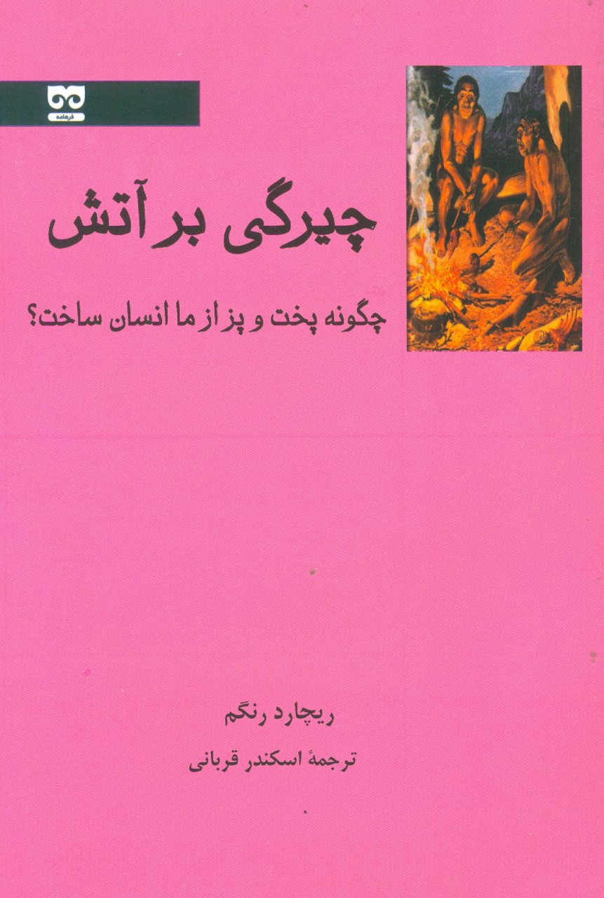 پایانه - چیرگی بر آتش