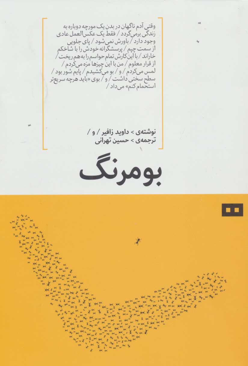 پایانه - بومرنگ