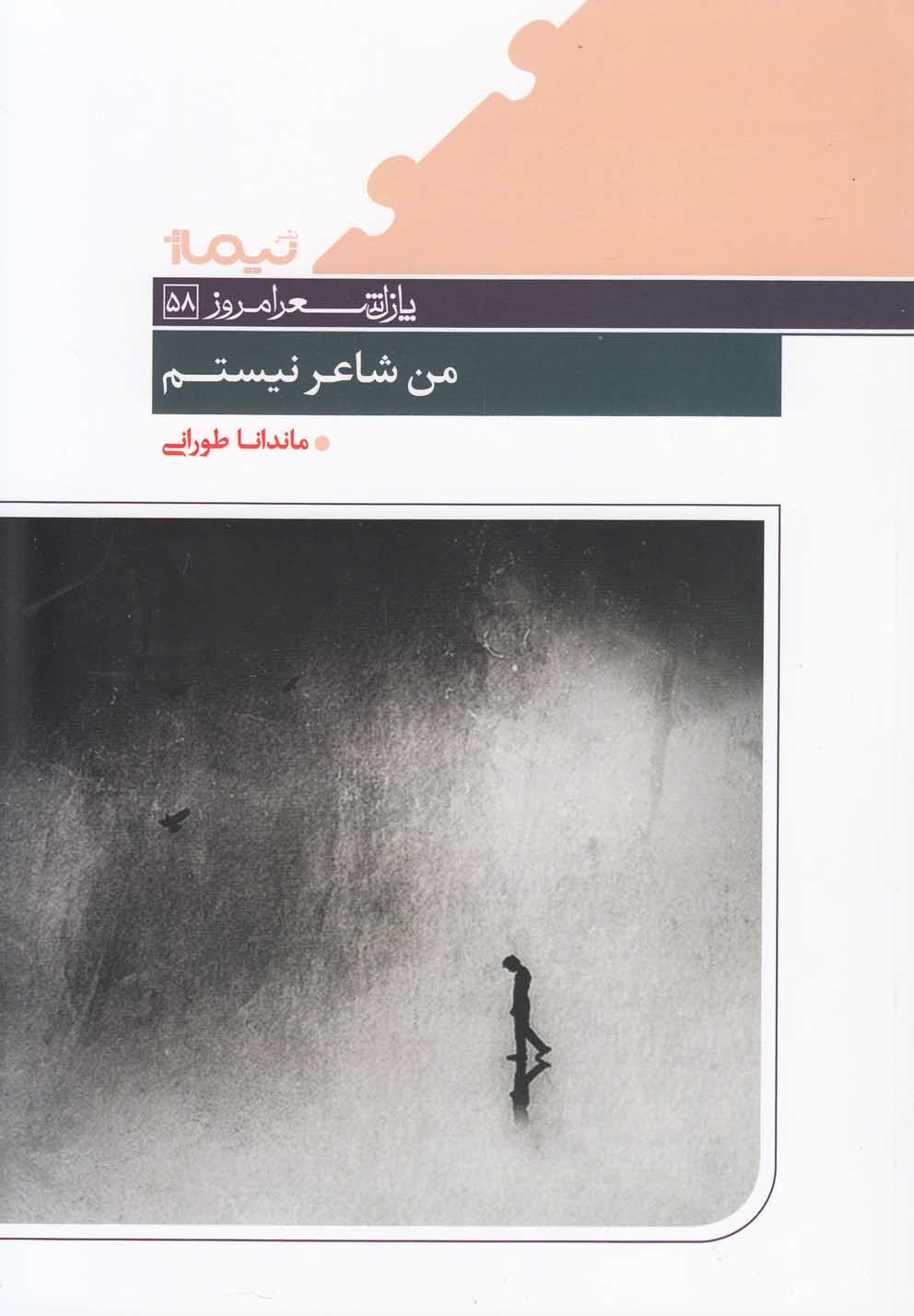 پایانه - من شاعر نیستم