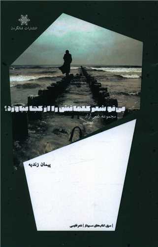 پایانه - بی تو شعر کلماتش را از کجا بیاورد