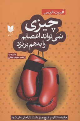 پایانه - چیزی نمی تواند اعصابم را به هم بریزد