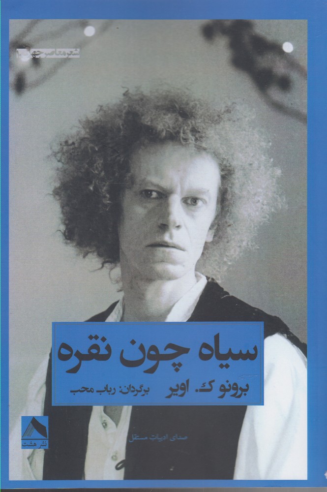 پایانه - سیاه چون نقره