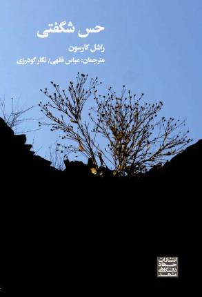 پایانه - حس شگفتی