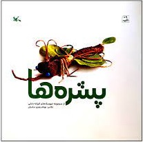 پایانه - پشره ها