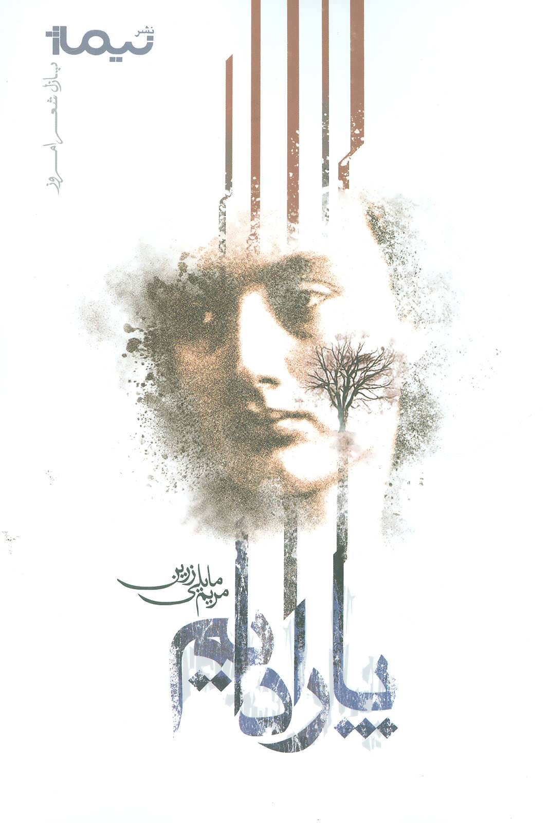 پایانه - پارادایم