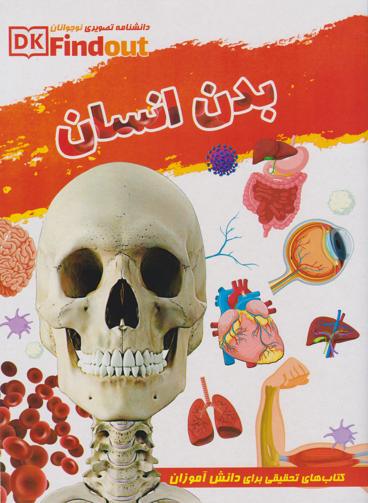 پایانه - دانستنی های علمی از بدن انسان