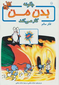 پایانه - چگونه بدن من کار می کند 18