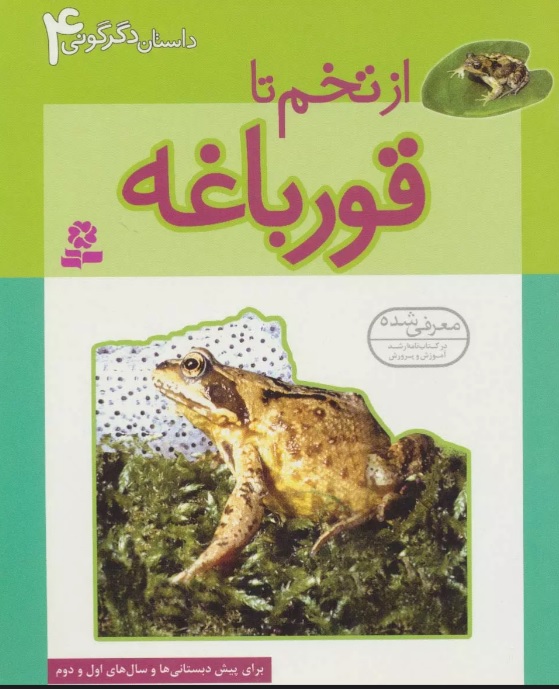 پایانه - از تخم تا قورباغه