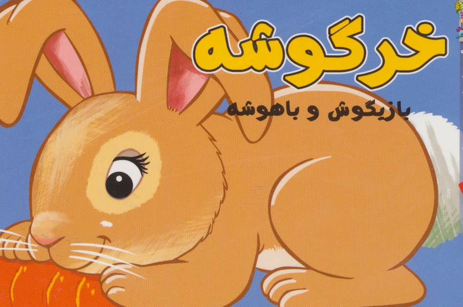 پایانه - خرگوشه