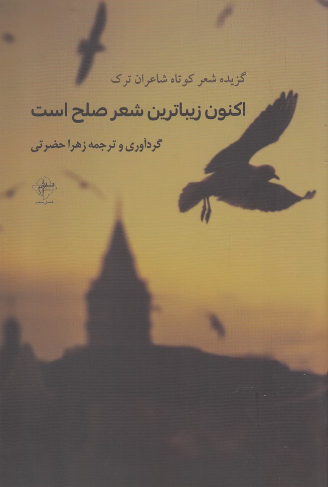 پایانه - اکنون زیباترین شعر صلح است