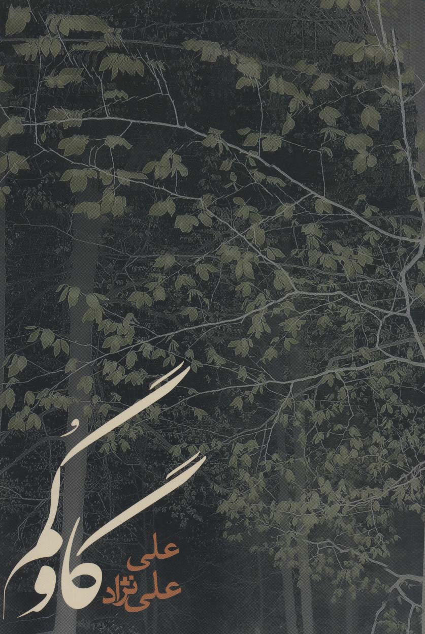 پایانه - گاو گم