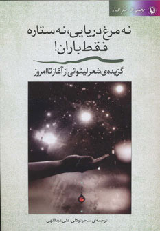 پایانه - نه مرغ دریایی، نه ستاره فقط باران