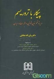 پایانه - پیکار با تروریسم