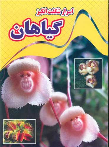 پایانه - اسرار شگفت انگیز گیاهان