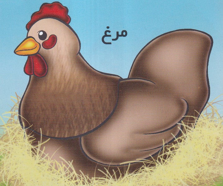 پایانه - مرغ