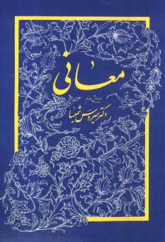 پایانه - معانی