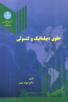 پایانه - حقوق دیپلماتیک و کنسولی