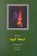 پایانه - شعله کبود: منتخب پنج دفتر شعر: رها، نافه، پویه، شگرف بازگشت 1329 - 1369