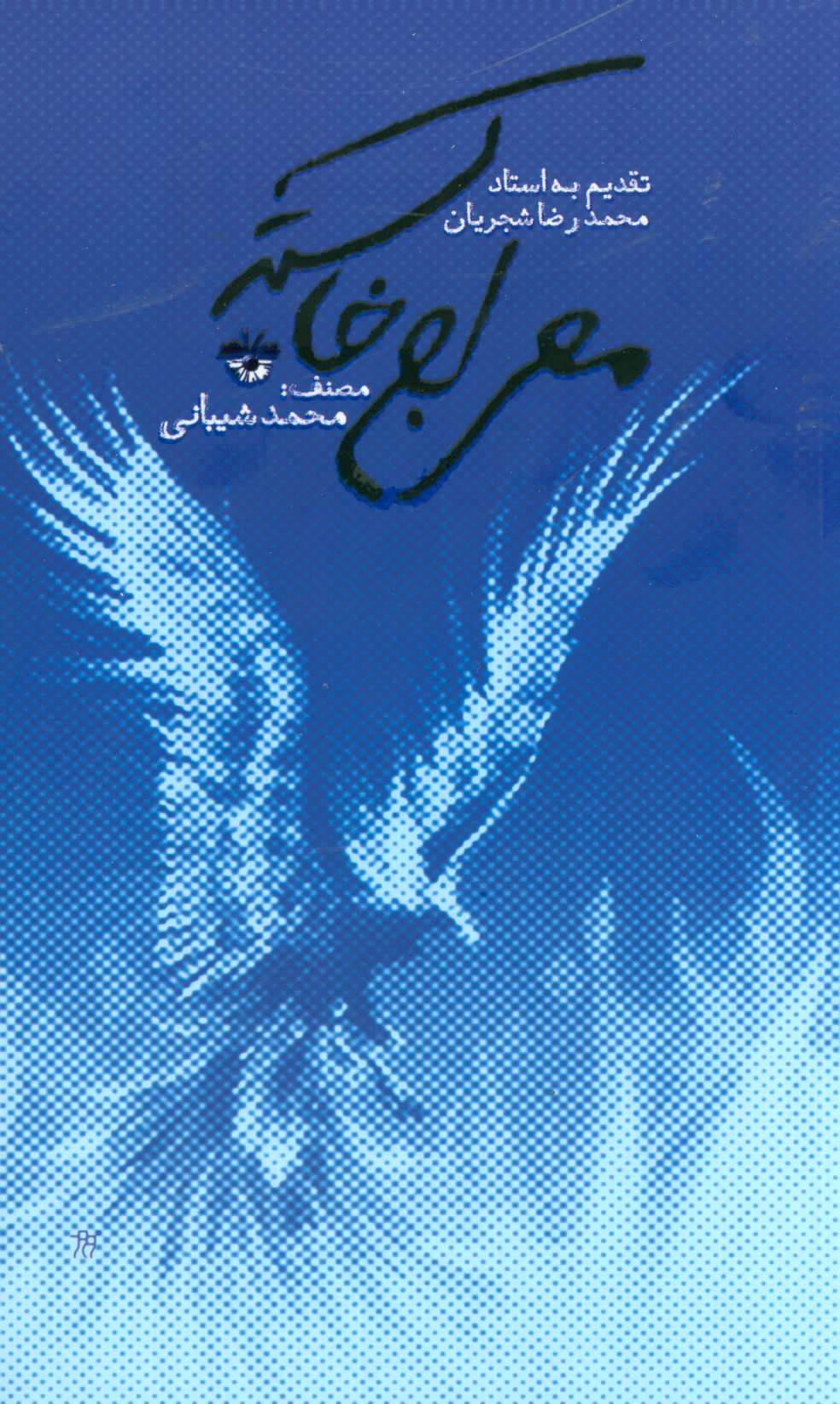 پایانه - معراج خاکستر