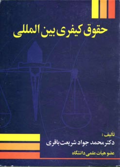 پایانه - حقوق کیفری بین المللی