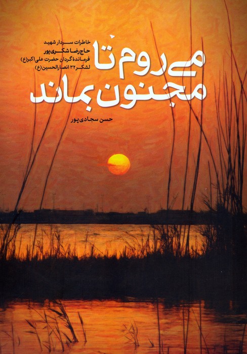 پایانه - می روم تا مجنون بماند