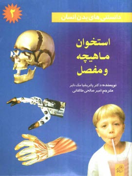 پایانه - دانستنی های بدن انسان: استخوان ماهیچه و مفصل