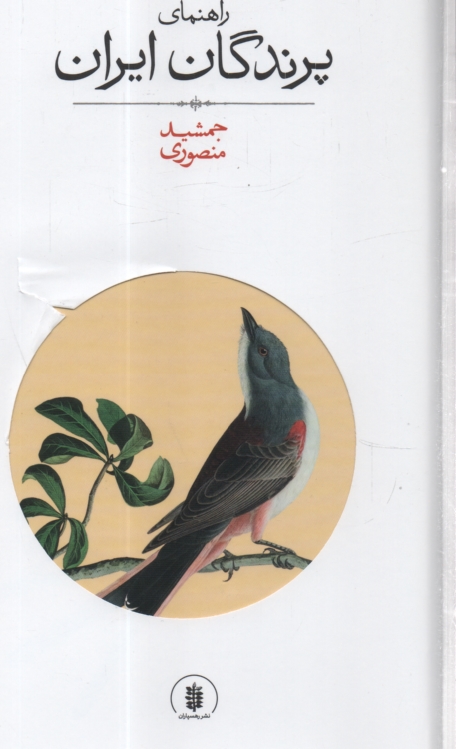 پایانه - راهنمای پرندگان ایران