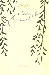 پایانه - مثل درخت در شب باران: مجموعه شعر 