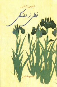 پایانه - خطی ز دلتنگی (مجموعه شعر)