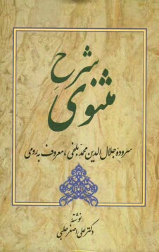 پایانه - شرح مثنوی