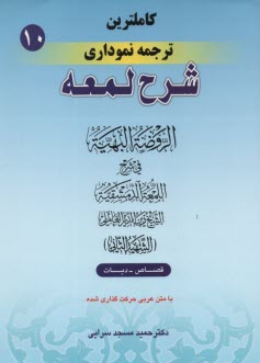پایانه - ترجمه نموداری شرح  لمعه (10): قصاص، دیات | شهیدثانی؛ مسجدسرایی | حقوق اسلامی